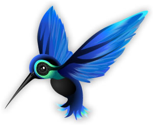 Why isn't my website on page 1 of google anymore?